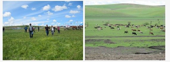 20131105061014_76862