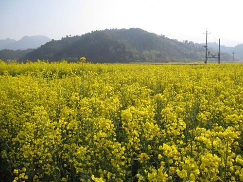 20131105055215_77252